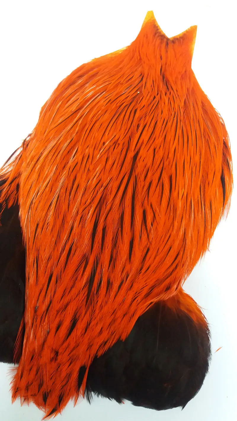 The Lakeland Brahma Rooster Cape in Silver Badger Dyed Orange  from Whiting Farms-8